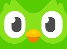 Duolingo Indir