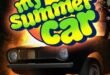 My Summer Car Indir